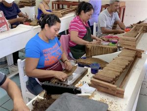 Cigar workers at benches making cigars