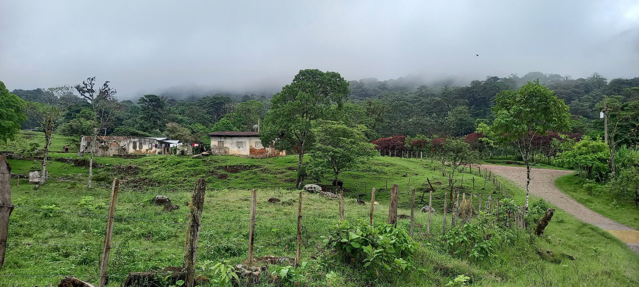 Miraflores Esteli